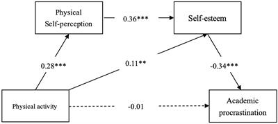 Physical activity and academic procrastination in Chinese college students: The serial mediating roles of physical self-perceptions and self-esteem